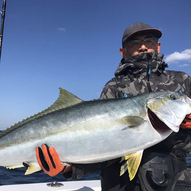 長崎県対馬でヒラマサ釣り遠征 年11月中旬ビックトラウト 釣りを楽しめるツアーはビックトラウトがご案内いたします