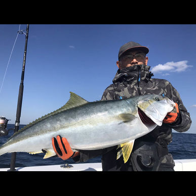 長崎県対馬でヒラマサ釣り遠征 年11月中旬ビックトラウト 釣りを楽しめるツアーはビックトラウトがご案内いたします